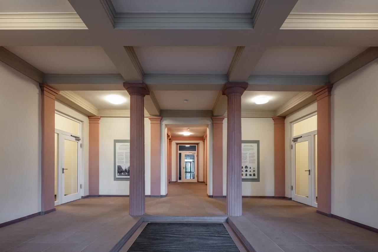 Acapella Suite Allegro 76Qm I Altstadt L Weinberg Heppenheim  Extérieur photo